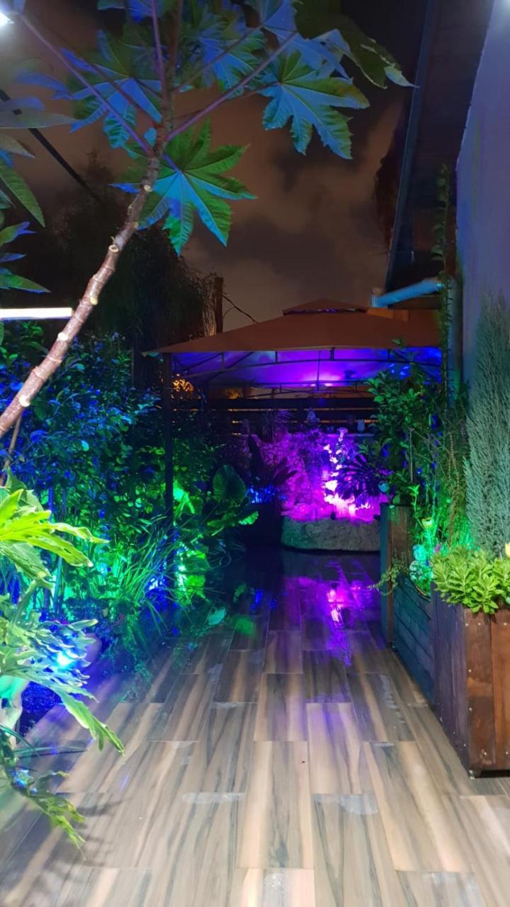 דירות חיפה Amazing מראה חיצוני תמונה